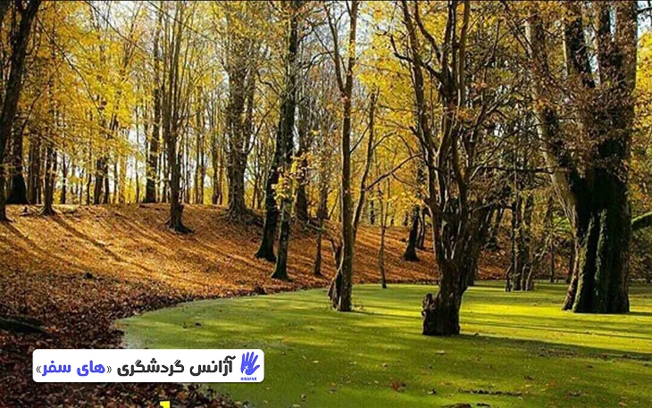 معرفی مرداب هسل: طبیعت بکر و آرامش بی‌نظیر