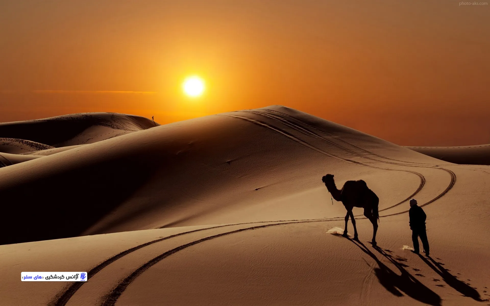 چرا تور کویر مصر کف خواب؟ مزایای سفر به کویر مصر