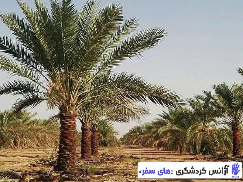 کویر خور و بیابانک