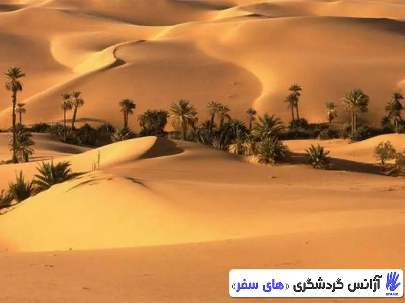 کویر ابوزید آباد