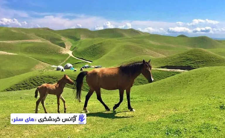 ترکمن صحرا؛ سرزمین باد و اسب‌های ترکمن